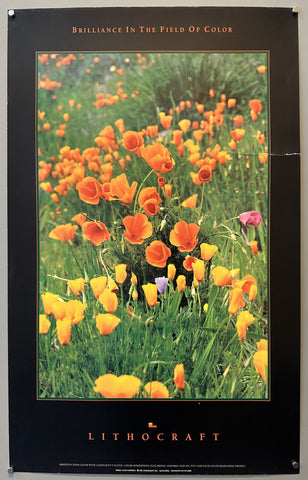 Brilliance in the Field of Color Lithocraft