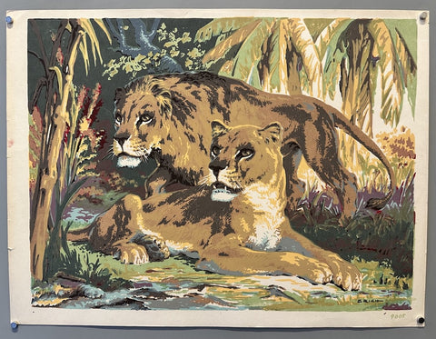 Enrich Two Lions