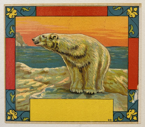 Polar bear