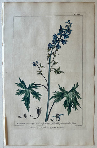 Link to  #119 Delphinium nectariis diphyllisLondon, 1770  Product
