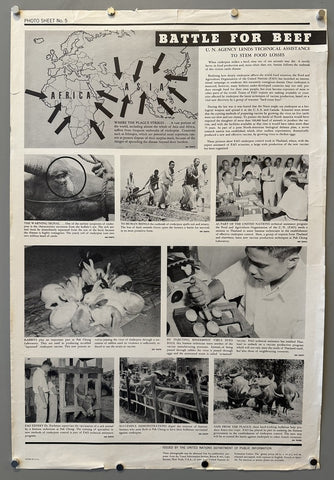 Link to  Battle for beefUSA, 1943  Product