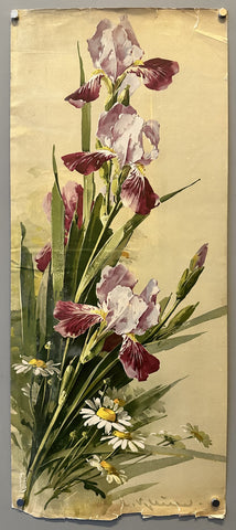 Iris et Marguerites
