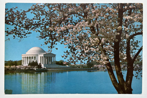 Link to  Jefferson Memorial PostcardUnited States, c. 1960s  Product