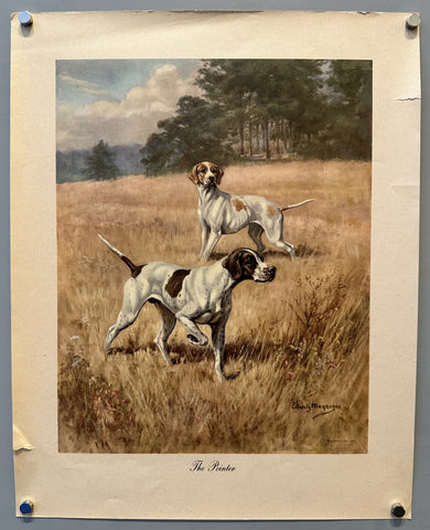 The Pointer
