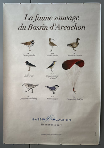 La Faune Sauvage du Bassin d'Arcachon #2