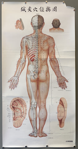 Chinese Acupuncture Meridian Chart