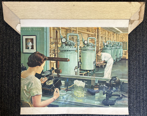 The Era of Antibiotics