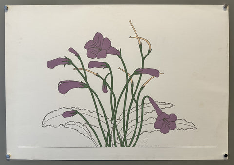 Link to &nbsp;Lavender Flowers Sudi McCollumUnited States, 1985 &nbsp;Product