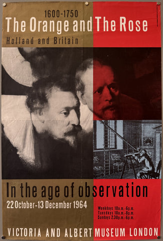 The Orange and The Rose