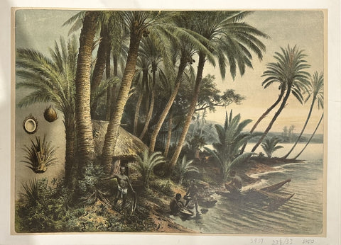 Indian Settlement