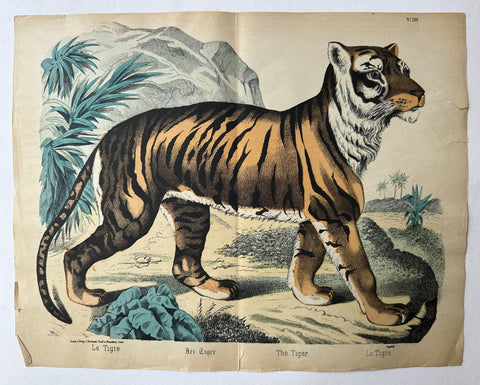 Link to  The Tiger No. 120France/Germany, c. 1860s  Product