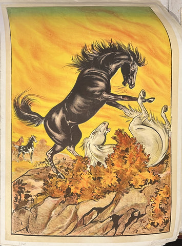 Black and White Horses Fighting