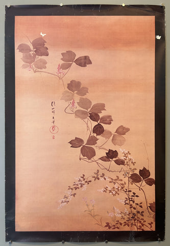 Summer and Autumn Grasses
