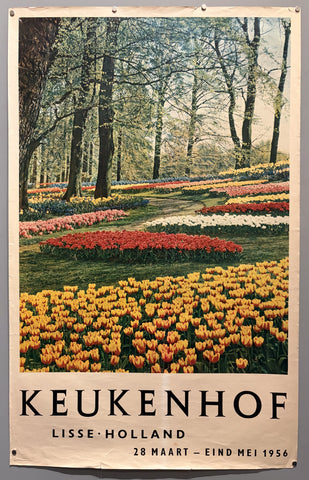 Keukenhof Lisse Holland #2