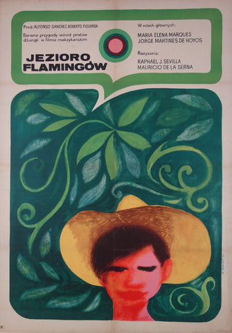 Link to  Jezioro FlamingowH. Bodnar 1962  Product