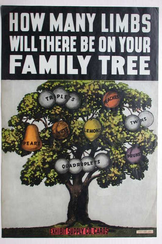 Link to  Exhibit Supply Co. Family Tree Print  Product