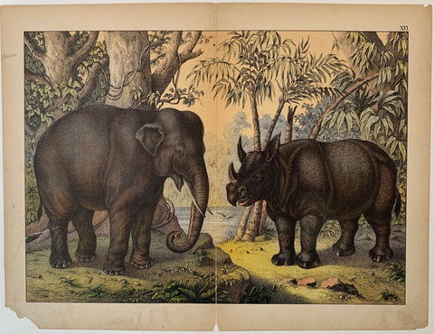Link to  Elephant and RhinoC. 1890  Product