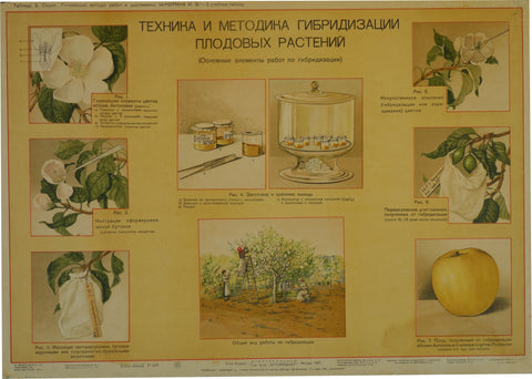 Link to  Diagram of Pollen extractionRussia  Product