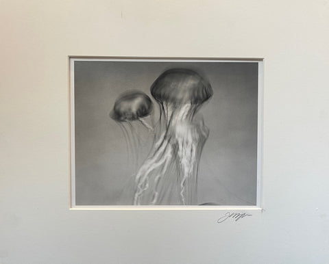 Link to  Black and White Jellyfish PrintUSA  Product