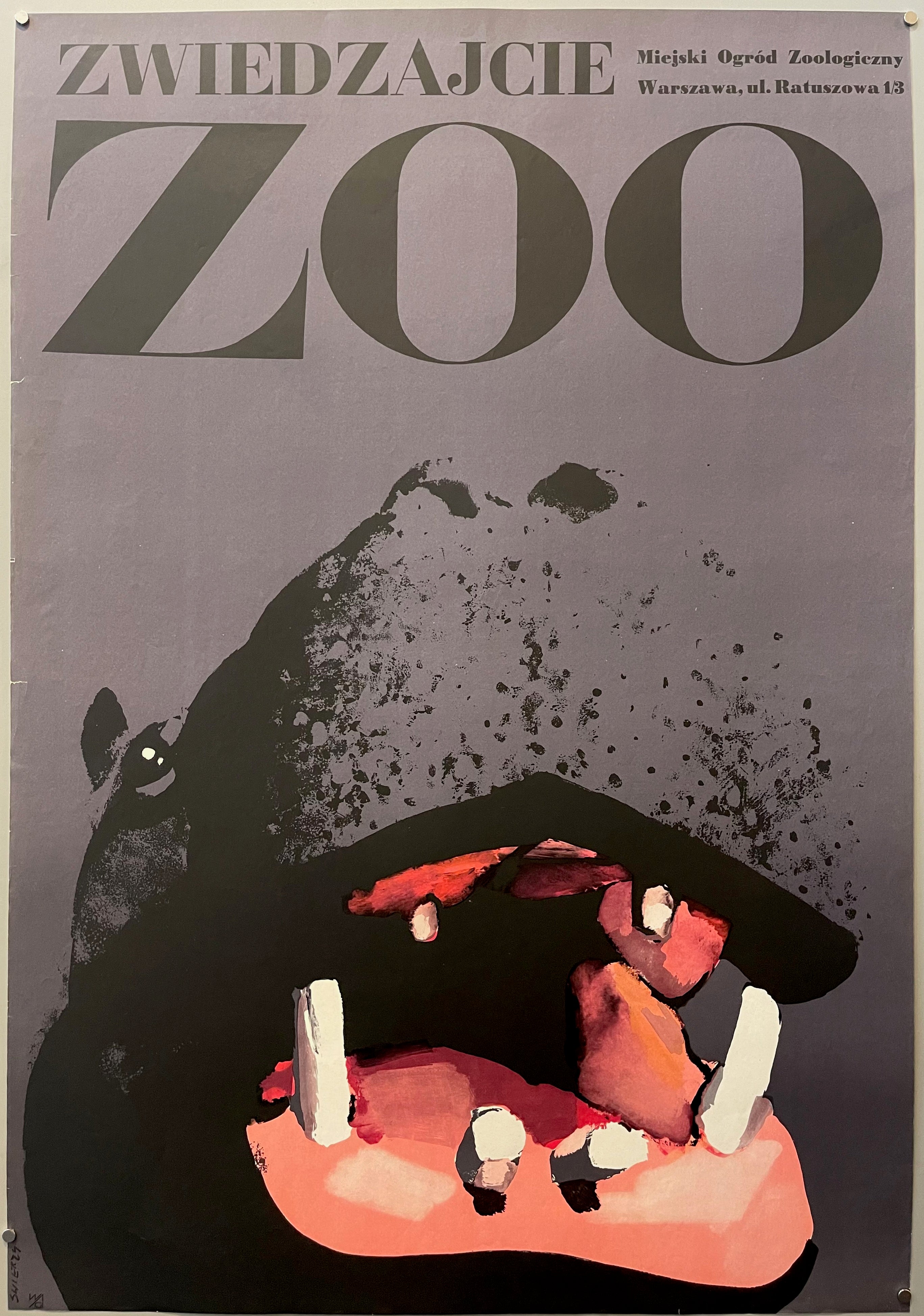 Polish Zoo Poster