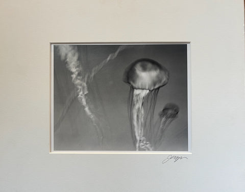 Link to  Black and White Jellyfish PrintUSA  Product
