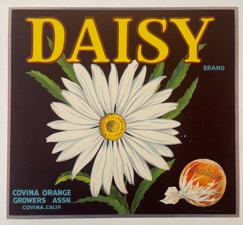 Link to  Daisy Brand Sunkist Orange Crate PosterCalifornia, c.1950.  Product