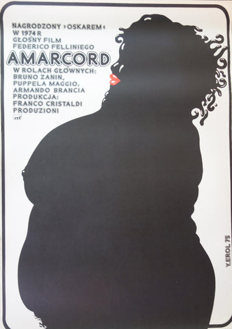 Link to  AmarcordY. Erol 1975  Product