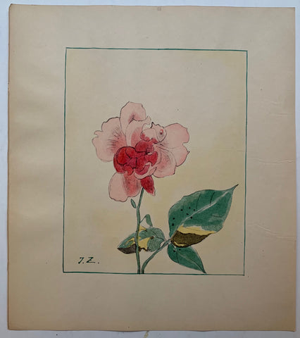 Link to  Pink Flower With Wilting Leaves #19 ✓J.Z, c. 1930  Product