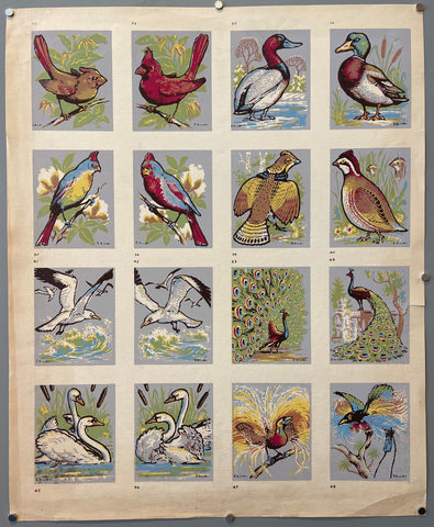 Link to  Study of Birds PrintU.S.A., c. 1955  Product