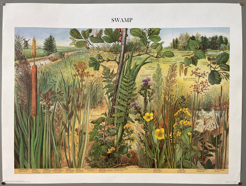 Link to  Swamp PosterEngland, 1976  Product
