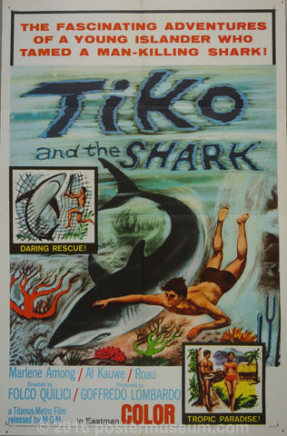 Link to  Tiko and the SharkFolco Quilici  Product