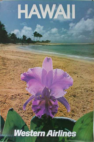 Link to  Western Airlines Hawaii-  Product