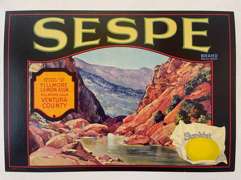 Link to  Sespe LabelU.S.A., 1940s  Product