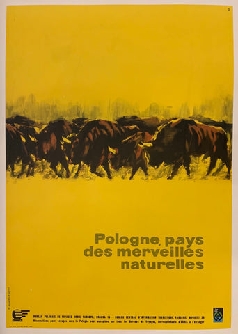 Link to  Pologne, Pays des Merveilles Naturelles PosterPoland, 1965  Product