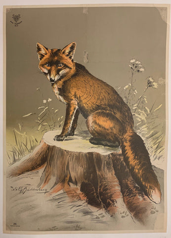 Link to  DJV Fox PosterGermany, circa 1900  Product