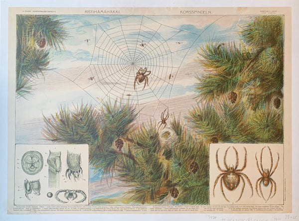 Spider Diagram – Poster Museum