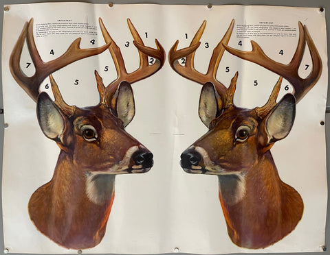 Link to  Deer Mount Handling PosterUSA c. 1970s  Product
