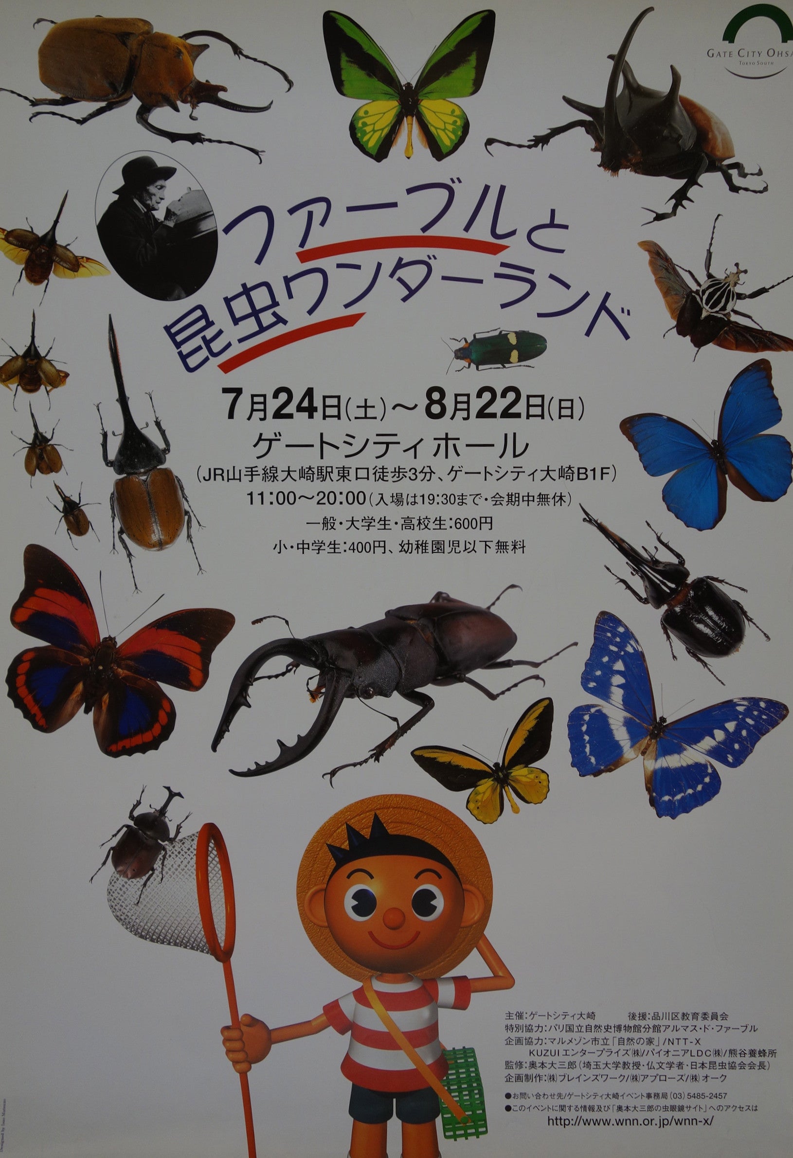 Fabre and insects' wonder land