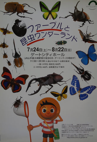 Link to  Fabre and insects' wonder land2000  Product