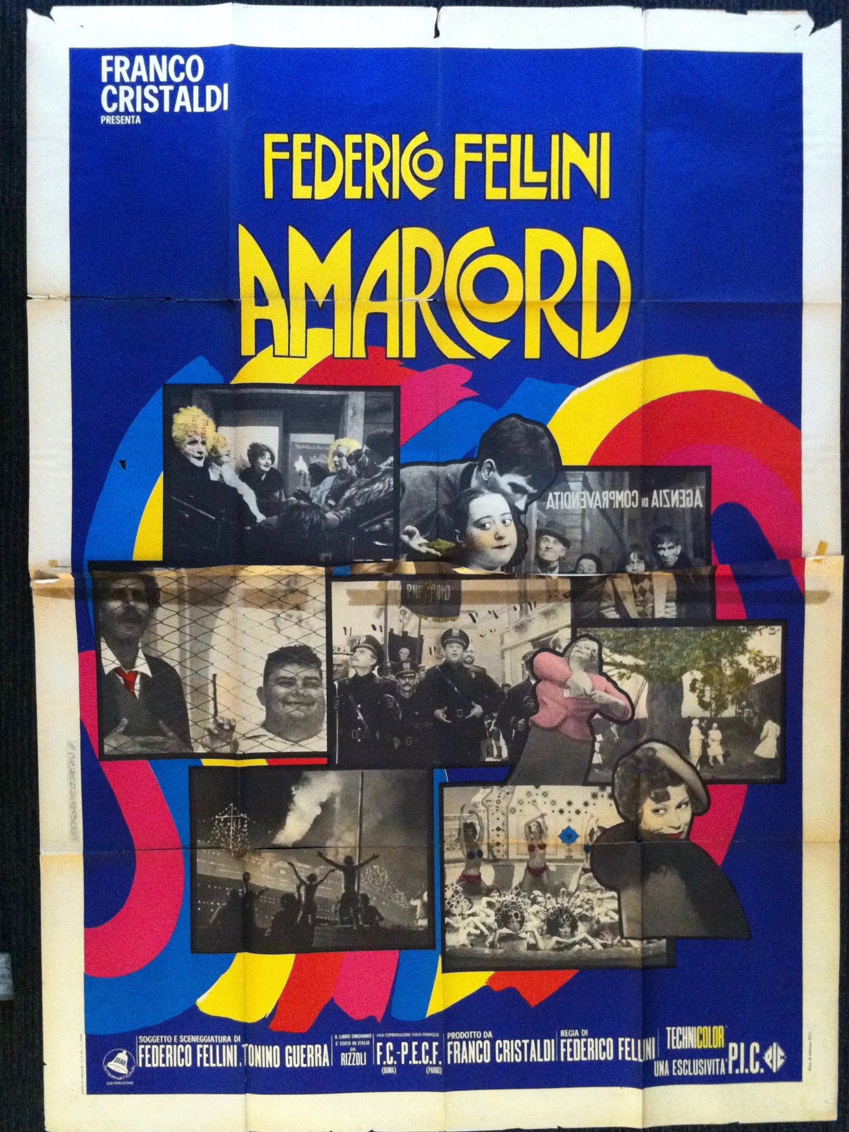 Federico Fellini Amarcord (Dark Blue/Paper)