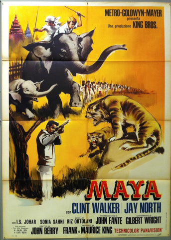 Link to  MayaItaly, 1966  Product
