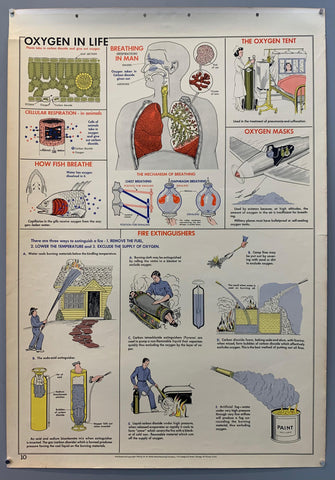 Link to  School Wall Chart: Oxygen in Life1955  Product
