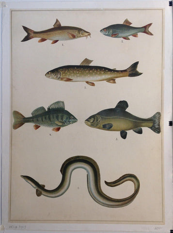 Link to  Fish Wall Art 2C. 1925  Product