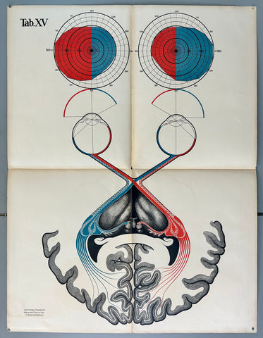 Link to  Retina Diagram PosterGermany, c. 1928  Product