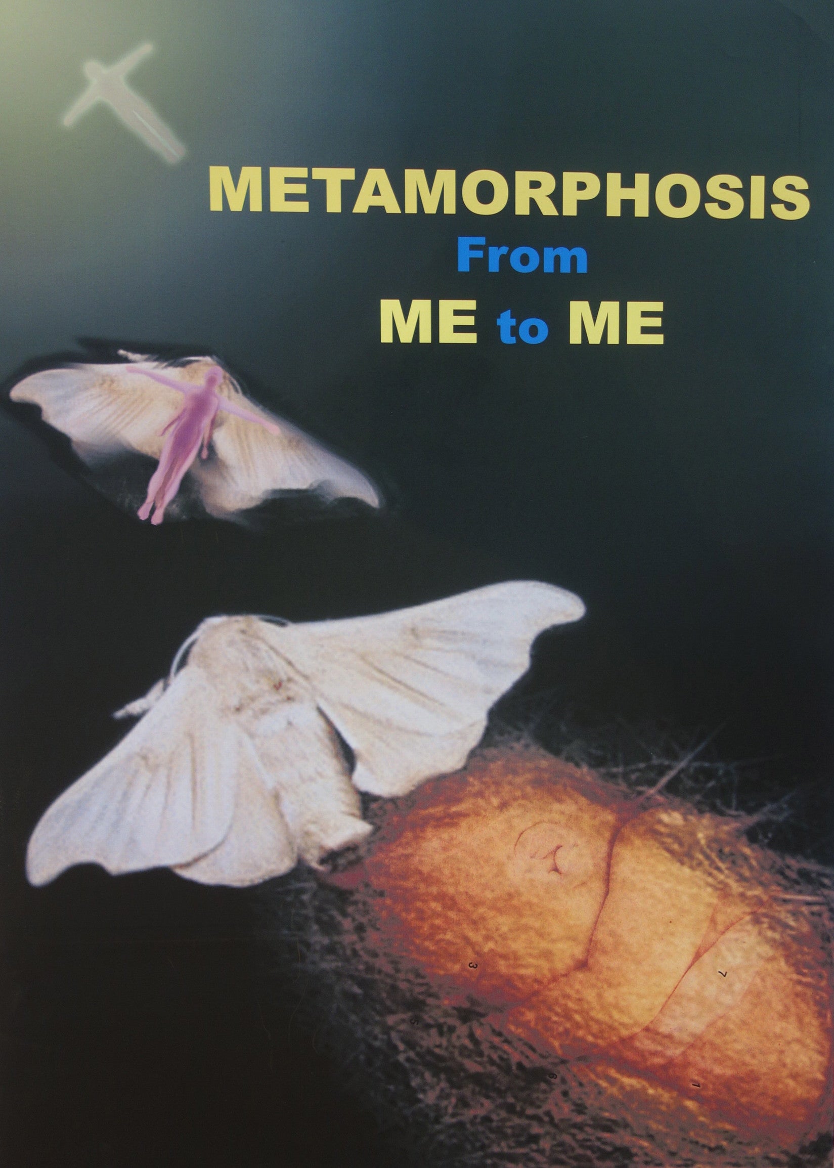 Metamophosis From Me To Me