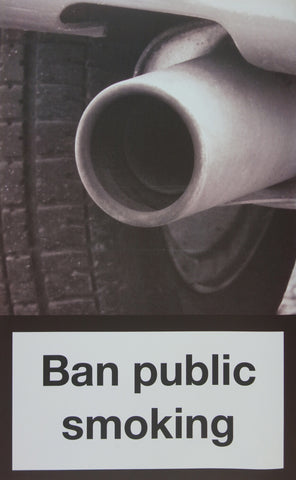 Link to  Ban Public Smoking2010  Product