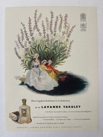 Link to  Lavande Yardley PosterFrance, 1951  Product