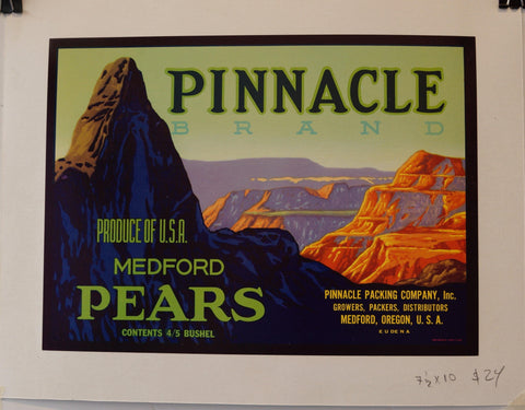 Link to  Pinnacle Brand "Produce of USA Medford Pears"U.S.A, C. 1940s  Product