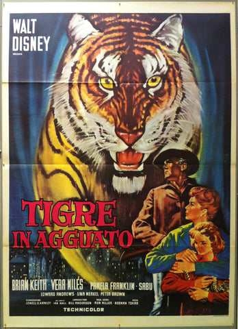 Link to  Tigre in AgguatoItaly, 1964  Product