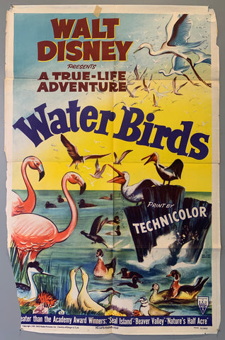 Link to  Water Birds1952  Product